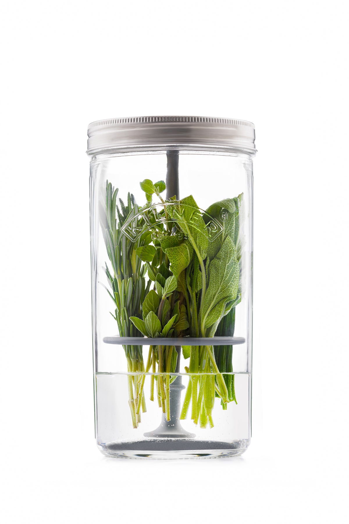 KILNER Kräuter-Frischhalteglas 1L for storing fresh herbs, clear glass jar with a metal lid, ideal for kitchen storage.