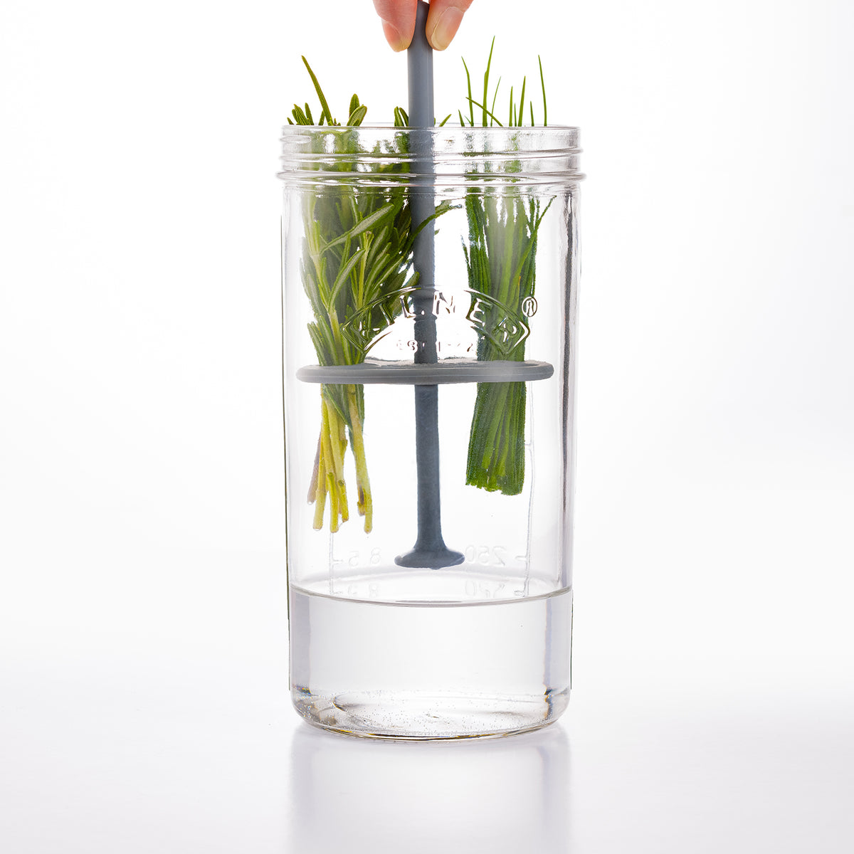 KILNER Kräuter-Frischhalteglas 1L for fresh herbs, clear glass container with a metal lid, ideal for storing herbs and spices.