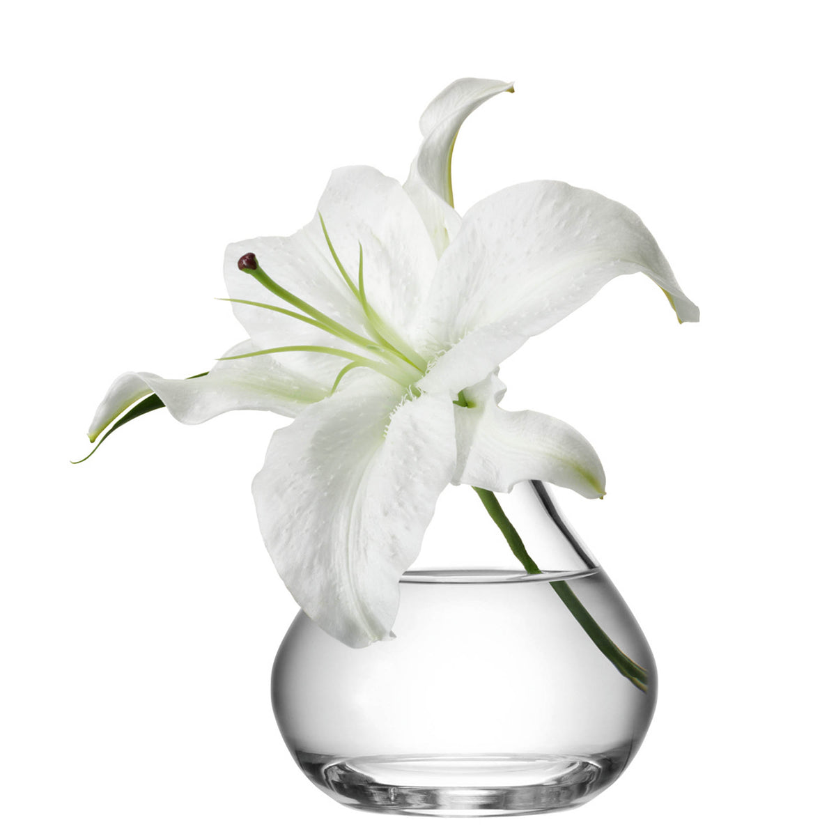 Clear LSA Flower Sprig Vase, 11cm tall, showcasing a sleek, minimalist design perfect for floral arrangements.