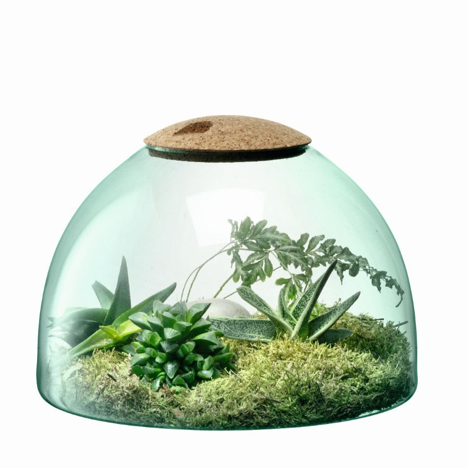 LSA Garten im Glas CANOPY in matte finish, 16.5cm tall, decorative glass planter with lush greenery inside.
