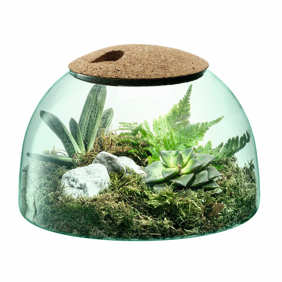LSA Garten im Glas CANOPY in matte finish, 22cm tall, decorative glass terrarium with lush greenery inside.
