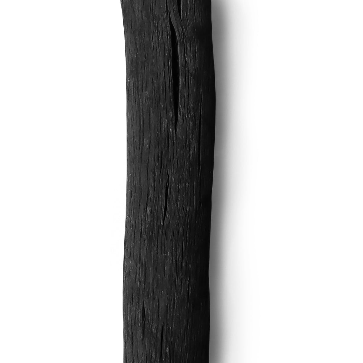 Black+Blum Aktivkohlefilter Caracol in black, shown with carbon filter material for water purification.