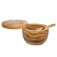 BÉRARD salt container with lid and spoon, brown ceramic salt holder with matching lid and spoon, round design.