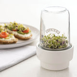 KILNER Kräuter-Frischeglas 500 ml glass jar for fresh herbs, with a metal lid and transparent body showing herbs inside.