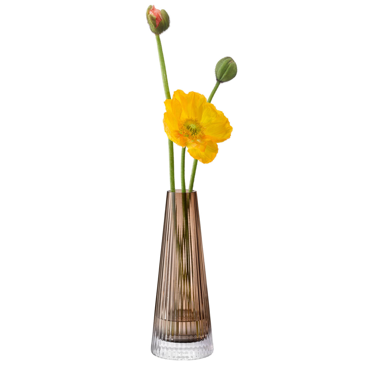 LSA Beacon candle holder and vase in taupe and jet black, 22cm tall with sleek, modern design and smooth finish.