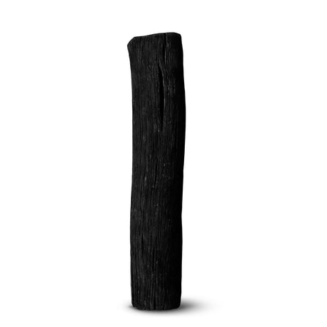 Black+Blum Aktivkohlefilter Caracol in schwarz, 4er Set, high-quality activated charcoal filters for water purification.