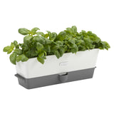 Cole & Mason Kräutertopf mit Selbstbewässerung, dreifach, for growing fresh herbs indoors or outdoors.