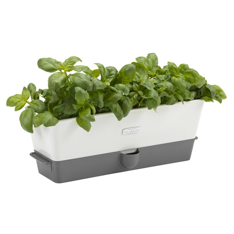 Cole & Mason Kräutertopf mit Selbstbewässerung, dreifach, for growing fresh herbs indoors or outdoors.
